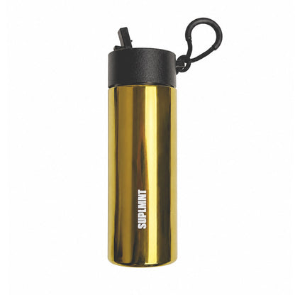 24 OZ WATER BOTTLE WITH STRAW LID